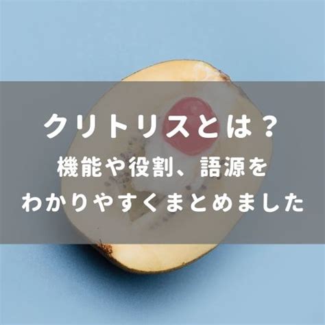 クリトリス 正常|クリトリスとは？機能や役割、語源をわかりやすくま。